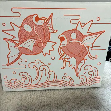 피카피카 박스 2026