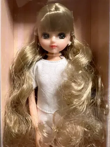 리카짱 캐슬 2022년 S월간 인형 컬렉션 8월 리카짱