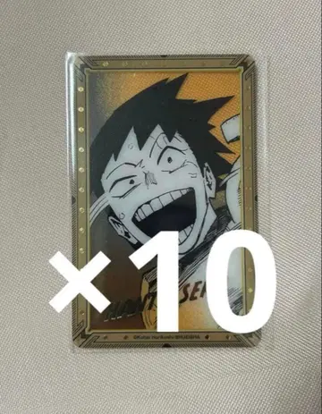 히로아카전 원화전 금박 클리어 카드 세로 한타 10장