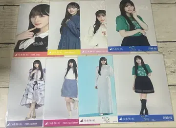 카와사키 벚꽃 브로마이드 묶음 판매