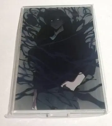 나 혼자만 레벨업 애니메이트 특전 아크릴 스탠드 성진우