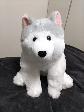 푹신푹신 복슬복슬 시베리안 허스키 BIG 봉제 인형 AMUFUN