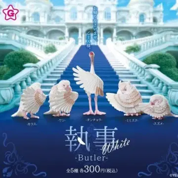 집사 White -Butler- 피규어 세트