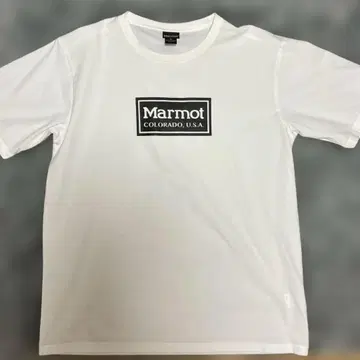 Marmot XL 화이트 T셔츠 로고
