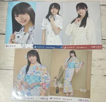 오오코시 히나노 브로마이드 묶음 판매