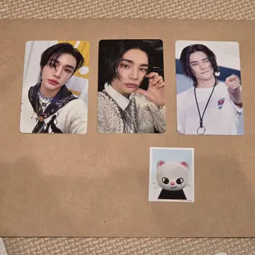 Stray Kids 스키즈 TOY WORLD 트레이딩 카드 현진 HMV