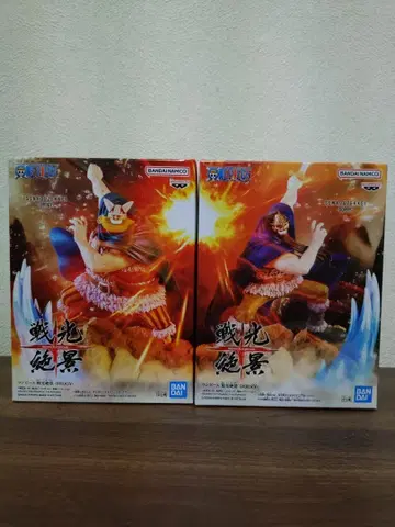 ONEPIECE 전광절경 도기&브로기