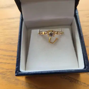 18YG 브라운 다이아몬드 프리 반지