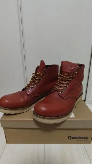 REDWING 8166 27cm