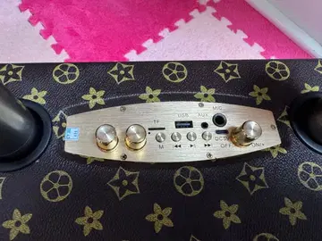 컴팩트 스피커 마이크 2개 포함 꽃무늬