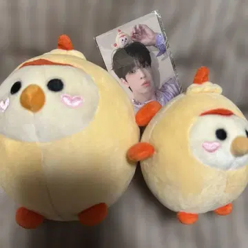 CRAVITY 쿠쿠리 퀴니 마스코트 트레이딩 카드 아렌