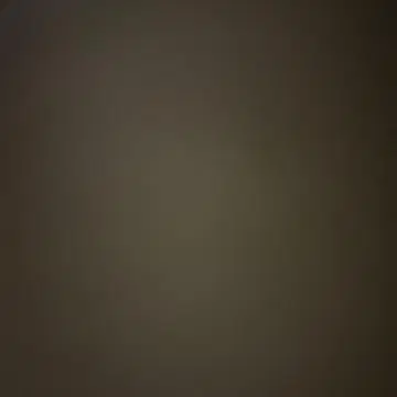 나의 히어로 아카데미아 피규어 토도로키 쇼토