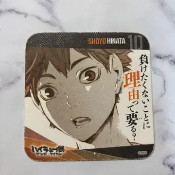 하이큐 히나타 쇼요 아트 코스터 원화 x 체험 춘풍 격려