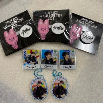 StrayKids 스키즈 창빈 돼끼 키링 네임 배지