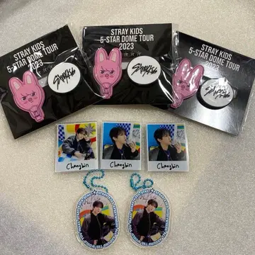 StrayKids 스키즈 창빈 돼끼 키링 네임 배지
