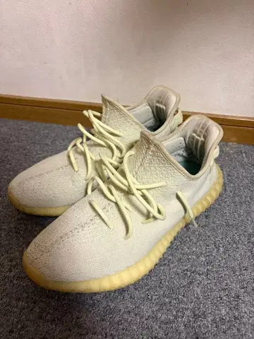 Yeezy boost 350 V2