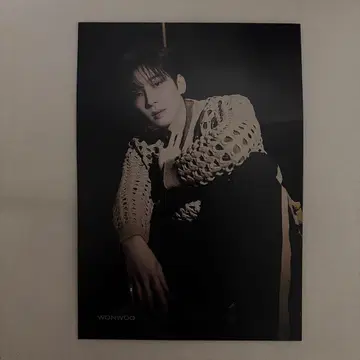 SEVENTEEN 원우 WONWOO 혼자가 아니야 플라이어