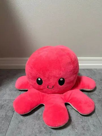 리버서블 타코 빨흰 (가격 인하 협상 가능)