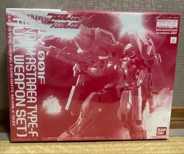 MG 1/100 건담 아스트레아 TYPE-F 풀 웨폰 세트