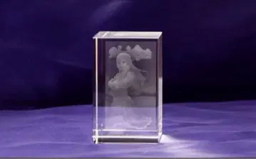 3d 크리스탈 피오나