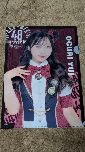 오구리 유이 클리어 파일 빨간색