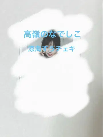 타카네노 나데시코 스즈미 스이 폴라로이드