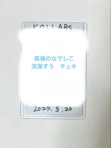 타카네노 나데시코 스즈미 스이 폴라로이드