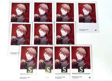 VOLTACTION 하프 기념일 폴라로이드 세라프 더즐 가든