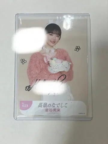 타카미네 나데시코 호시타니 미라이 친필 부활절 브로마이드