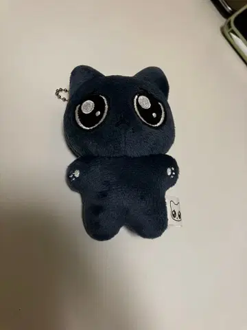 aespa karina 카리나 봉제 인형 직냥이