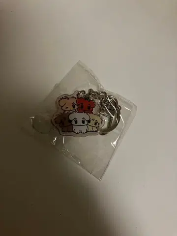 aespa winter 아크릴 키링 직직이