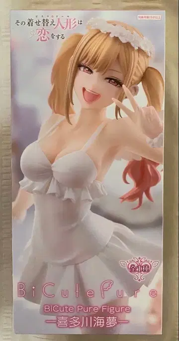 키타가와 마린 피규어