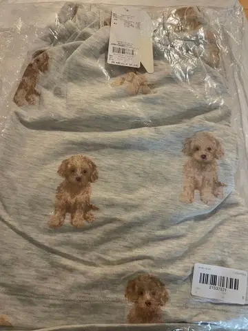 토이 푸들 패턴 숏팬츠 그레이 택 포함 새상품