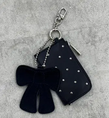 EMODA 스터드 카드 케이스 거울 미사용 새상품