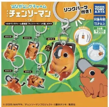 츠나구 반지 참 포치타