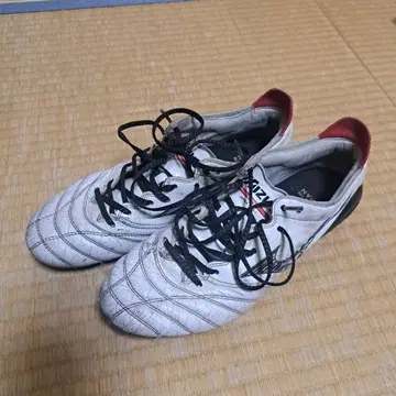 모렐리아 네오 3 25.5