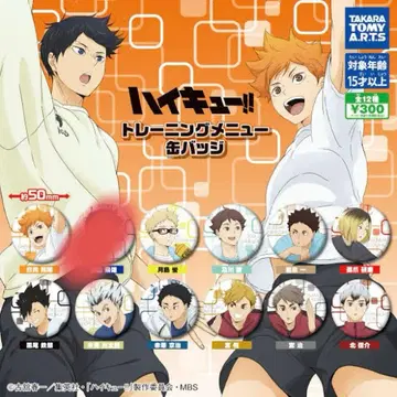 하이큐 하이큐!! 트레이닝 메뉴 캔뱃지 11종 세트