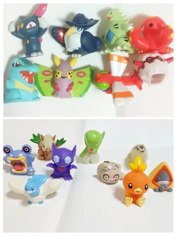 조토 지방 계열 호연 지방 계열 포켓몬 키즈