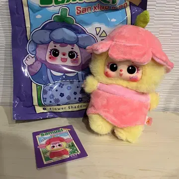 사뮈엘 san xiao mao 튤립