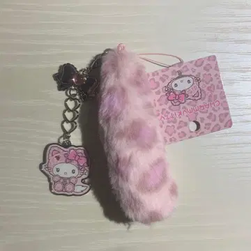 챠미 키티 갸루 고양이