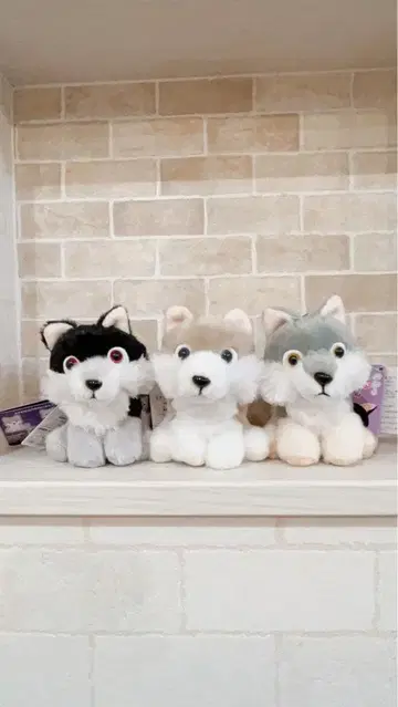 모후토 늑대 미스테리어스 카미온 루거 헌터 3점 세트