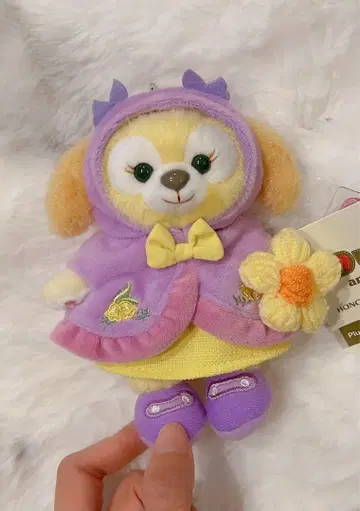 1 홍콩 디즈니 포레스트 원더 쿠키앤 키체인 키링