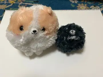 포메라니안과 블랙 봉제 인형 세트