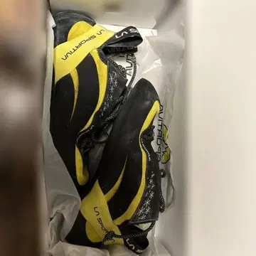 스포르티바 미우라 40 1/2