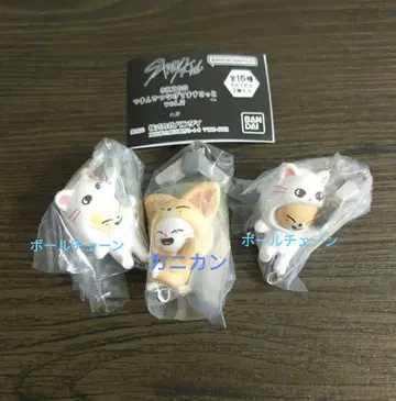 SKZOO 현진 아이엔 지니레트 폭시니 3종 세트 스키즈