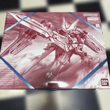 1/100 MG MBF-P02 건담 아스트레이 레드 드래곤