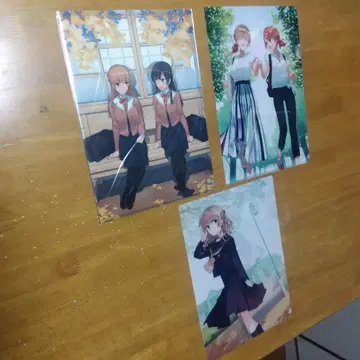 5303 마침내 너의 것이 될 거야 A-4 클리어 파일 총 3장