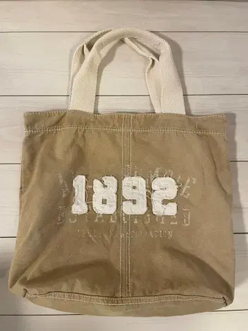 Abercrombie & Fitch 토트백