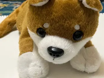 강아지 봉제 인형 브라운과 화이트