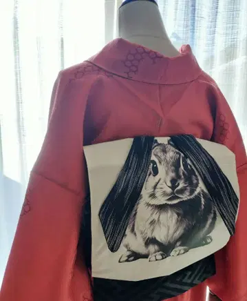 [만들어진 오비] 토끼 오비